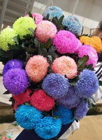 Grosir Bunga Potong Segar Peony Krisan untuk Dekorasi Rumah, Pernikahan, dan Festival dari Yunnan