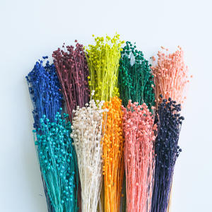 Tiges de haricot séchées pour bouquet de mariée, centre de table, garniture de vase, décoration intérieure, fournitures pour fleuristes et cadeaux de mariage - Product Image 1