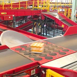 Macchina di Smistamento Personalizzata LUHUI, Smistatore Automatizzato con Ruota Girevole a Onda, Fornitore di Smistatori per Logistica ed E-Commerce - Product Image 3