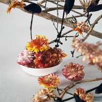 Thé de fleurs de chrysanthème en vrac 100 % pur, naturel, de qualité supérieure, en bouteille et en sachet