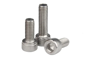 Tuercas y Pernos de Acero Inoxidable DIN912 SS304 SS316, Tamaños M4 M5 M6 M8 M10*20/25/30, Perno de Cabeza Hexagonal, Tornillo de Máquina - Product Image 1
