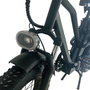 Vélo électrique de <span class=keywords><strong>sport</strong></span> à moteur Mulit 48V 750W, frein à disque, pneu 20*4 '', vélo électrique bon marché à vendre - Product Image 3