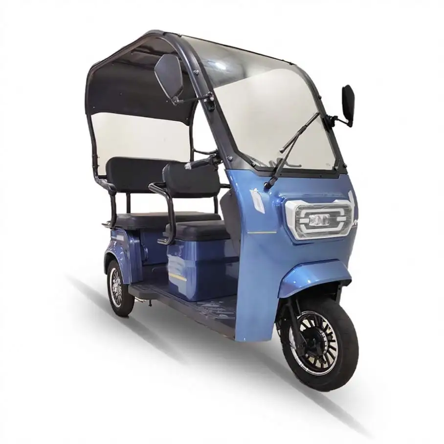 Top Fashion Open 2021 Cheaper Strong Power 60V 1000W Electric Tricycle Cargo manufacturer in china