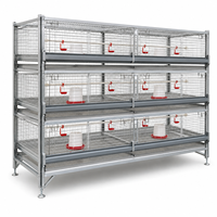 Cage à poussins de type H commerciale, nouvelle conception multi-niveaux, gain de place, en acier galvanisé, durée de vie de 18 ans, pour l'élevage de volailles