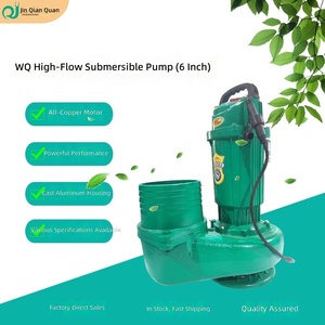 Bomba Sumergible de Gran Caudal de 6 Pulgadas con Núcleo de Cobre AC para Agua Limpia, Riego Agrícola y Uso Doméstico - Product Image 2