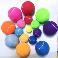 Wald Sport AX-25823A Ballon de tennis de plage éco-responsable de haute qualité pour chien avec logo personnalisé pour jouet pour animaux de compagnie et entraînement sportif