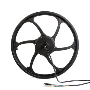 DGWZ 20 pollici 24/36V/48V 350W 500W Brushless mozzo motore elettrico <span class=keywords><strong>bicicletta</strong></span> <span class=keywords><strong>ruota</strong></span> mozzo motore con <span class=keywords><strong>ruota</strong></span> anteriore - Product Image 3