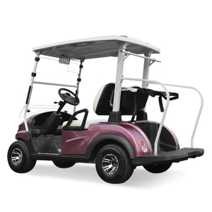 <span class=keywords><strong>Sub</strong></span> xe bán buôn giá 2 4 6 chỗ ngồi Golf giỏ hàng điện <span class=keywords><strong>lithium</strong></span> pin Golf Buggy cho <span class=keywords><strong>C</strong></span>âu Lạ<span class=keywords><strong>c</strong></span> Bộ khách sạn sân bay điện Golf xe giá - Product Image 3
