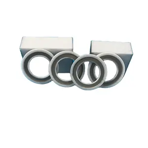 Customized On Sale Industrial Ceramic Ring 95 Al2O3 Alumina Metallized Ceramic Rings