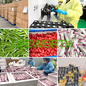 Lifeporn tablet Vitamin larut cepat <span class=keywords><strong>B12</strong></span> meningkatkan energi dan sistem saraf Kesehatan - Product Image 5