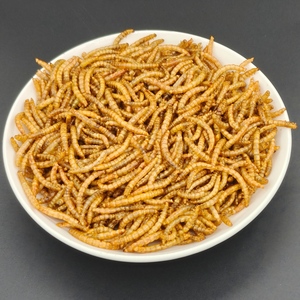 Alimento para Animales con Alto Contenido de Proteínas, Directo de Fábrica, 100% Natural, Gusanos de Harina Secos para Cría de Aves y Reptiles - Product Image 5