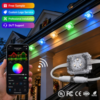 Lumières LED personnalisées à points lumineux, lumières de décoration de Noël, lumières changeantes de couleur, lumières permanentes, lumières de paysage de vacances, LED Pixel DC48V
