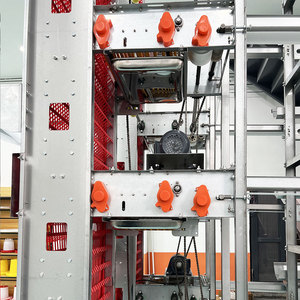 Système d'Élevage Avicole Automatique pour 10 000 Poules Ponduses, Cage à Poulets Étagée à 4 Niveaux pour la Production d'Œufs, à Vendre - Product Image 2