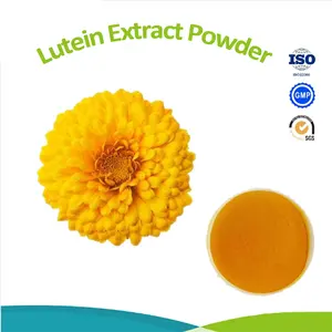 Food Supplement Marigold Flower Extract Tagetes Erecta Extract Lutein Powder