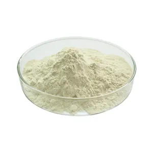 Tannin Manufacturer Offer Gallnut Extract Powder Tannin