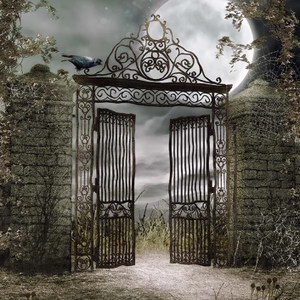 Autunno foresta 3D vinile sfondo di fotografia sfondo di legno ponte stampato con Computer in Studio foto - Product Image 5