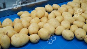 Machine automatique de fabrication de Frites Frites à grande échelle, prix de la dinde, ligne de Production de Frites - Product Image 2