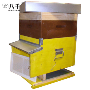 Equipo de apicultura BAQIAN Caja de <span class=keywords><strong>colmena</strong></span> de abeja de madera Dadant Blatt europea - Product Image 5