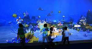 35 Giochi Interattivi a Proiezione 3D su Parete, Giochi di Schiacciamento Palle per Parchi Giochi per Bambini su Grande Schermo da 5x96 Metri - Product Image 4