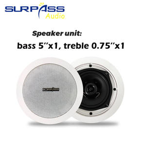 PW230 + C520H sistema Audio domestico WIFI blu-troppo amplificatore MUZO apparecchi di controllo Radio a filo con altoparlante a soffitto - Product Image 6