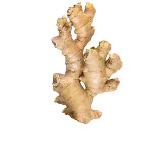 DIRECT FROM VIETNAM FARMS FRESH GINGER GINGER FOR EXPORT COMPETITIVE PRICES WITH DIVERSITY OF SIZES, PACKAGING FOR MANY MARKETS