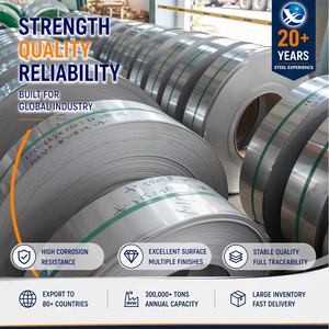 Factory Price 302 Bead Blasted 0.3mm x 1000mm Pickled JIS G4305 Stainless Steel Coil with Uniform Thickness - Product Image 1