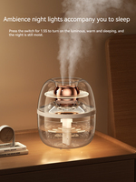 Humidificateur 3L Diffuseur d'huiles essentielles à double pulvérisation Diffuseur USB d'aromathérapie Diffuseur de parfum de grande capacité pour la maison et la chambre à coucher