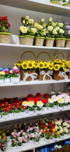 Fleur Artificielle Tricotée à la Main Tulipes Plantes en Pot <span class=keywords><strong>Amigurumi</strong></span> Fleurs Bouquet Artisanat Fait à la Main Jamais Flétrissement Fleur Éternelle - Product Image 5