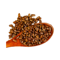 Biji Cassia Coklat Kering FD Premium Utuh dengan Kulitnya 500g, Umur Simpan 18 Bulan untuk Detoks Hati & Kesehatan Mata, Teh Herbal