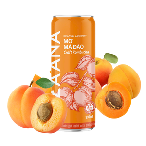 Boisson vietnamienne au thé kombucha OEM en gros à bon prix Ingrédients naturels infusés au gingembre et aux fruits mous fabriqués au Vietnam - Product Image 1