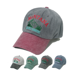 Nouveau <span class=keywords><strong>printemps</strong></span>/été chapeau <span class=keywords><strong>de</strong></span> Baseball extérieur lavé et vieux Vintage <span class=keywords><strong>montagne</strong></span> lettre brodé canard langue chapeau pour hommes - Product Image 1