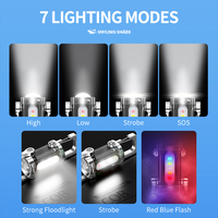 Mini lampe torche LED rechargeable, lampe de poche portable, lumière USB EDC pour porte-clés, pour le camping, la randonnée et les activités de plein air