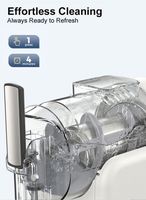 Commerciële draagbare roestvrijstalen 3L slushy maker, enkelvoudige tank, slushie machine voor bevroren cocktails, fruitsappen, smoothies en granita