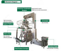 Machine de remplissage et d'emballage industrielle de chips de pomme de terre Pringles pour chips de pomme de terre
