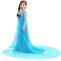 Usine directe pas cher enfants filles Bule habiller Elsa Costume avec perruque couronne accessoires âge 3-11 ans