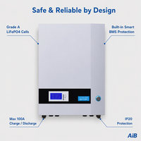 Batterie LiFePO4 murale 25,6 V 100 Ah 2,56 kWh, système de stockage d'énergie domestique, batterie murale solaire pour onduleur hybride