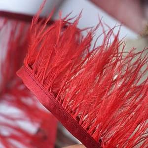 Plumes d'autruche colorées <span class=keywords><strong>de</strong></span> haute qualité <span class=keywords><strong>de</strong></span> 6/8 cm, bordure <span class=keywords><strong>de</strong></span> frange pour la décoration <span class=keywords><strong>de</strong></span> vêtements, cadeaux, bouquets, décoration intérieure, chambre à coucher - Product Image 4