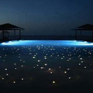 Embouts de terminaison enterrés en fibre optique, étanches, en acier inoxydable, pour applications sous-marines - Product Image 5