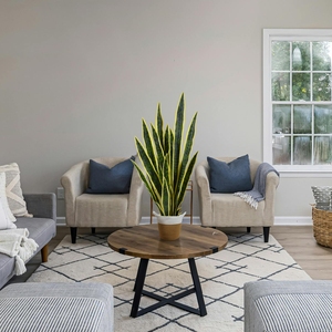 <span class=keywords><strong>Planta</strong></span> Artificial Personalizada Bossion para Interiores y Exteriores, Resistente a los Rayos UV, Hojas <span class=keywords><strong>de</strong></span> <span class=keywords><strong>Planta</strong></span> Serpiente, Ideal para Regalo a la Madre <span class=keywords><strong>de</strong></span> la Novia - Product Image 3