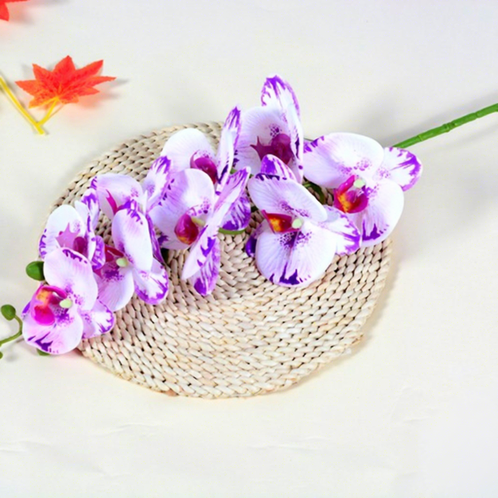 9 phalaenopsis orchids-white with hint of purple