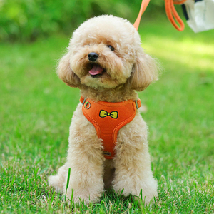 XS à la mode Sport ennemi frères harnais pour animaux de compagnie néoprène coton Polyester chien marche laisse solide motif rembourré bouton fermeture - Product Image 6