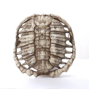 Oracle Bone Turtle Shell animale teschio SKE34 ciondolo di famiglia personalizzato decorazione per la casa in resina ornamenti - Product Image 3