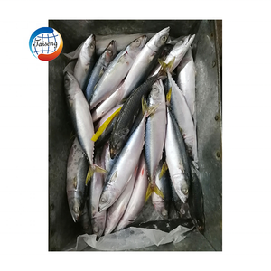 Pesce cinese di mare e terra ghiacciato sgombro fresco di mare e terra di Saba sgombro - Product Image 6