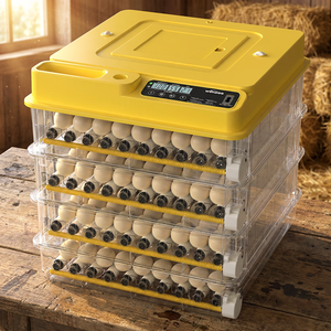 WONEGG Machine <span class=keywords><strong>à</strong></span> couver les œufs de poule de haute qualité <span class=keywords><strong>à</strong></span> prix abordable – Incubateur d'œufs de poulet <span class=keywords><strong>à</strong></span> <span class=keywords><strong>vendre</strong></span> - Product Image 1