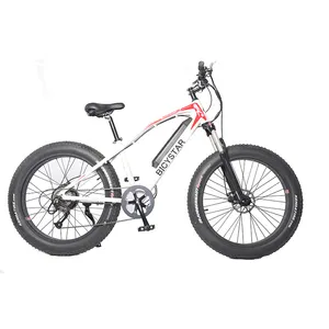 Mtb fat bike 500w/e-bike mtb/mountain bike elettronico