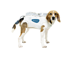 Gilet de télémétrie robuste de type veste pour le montage sécurisé de modules d'enregistrement dans les grands animaux - Product Image 5