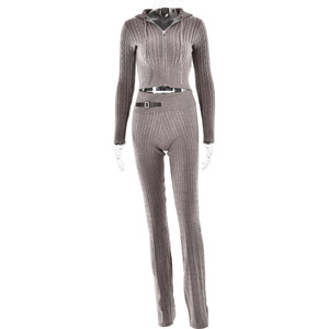 Women <b>Knit</b> Sweater <b>Set</b> Long Sleeve Zipper Solid Color Casual Suit Full Sleeve Pants European American Style - Product Image 5