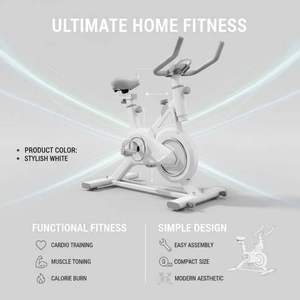 Bicicleta Estática Vertical de Acero Inoxidable Gris, Resistencia de Fieltro de Lana de 100 kg, Gimnasio en Casa, Ejercicio en Interiores con Tiempo y Calorías - Product Image 2