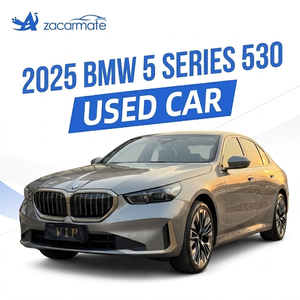 <span class=keywords><strong>BMW</strong></span> <span class=keywords><strong>Serie</strong></span> <span class=keywords><strong>5</strong></span> 530Li M Sport 8AT LHD Usata 2025 - Berlina di Lusso di Medie <span class=keywords><strong>Dimensioni</strong></span> a Benzina di Seconda Mano - Product Image 1
