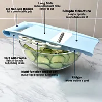 Zenidoo 5-delige mandoline groentesnijder handmatige keukenhulp multi-blad plastic roestvrij staal multifunctioneel
